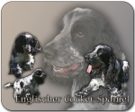 Mousepad Englischer Cocker Spaniel